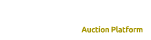 Meta Coin Auction